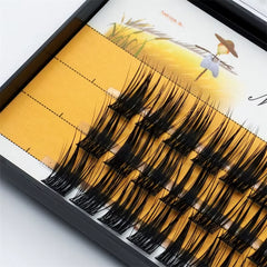36 Clusters 40D False Eyelashes Single Cluster False Eyelashes Segmented Natural Eyelashes Use Simple Eyelash Extensions
